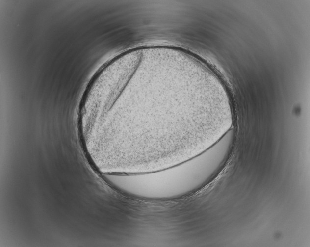 X0000116771181201001141444