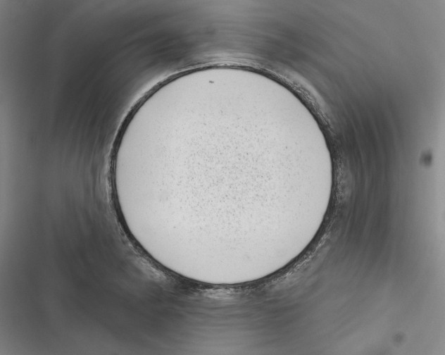 X0000116771182201001141444