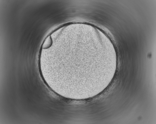 X0000116771183201001141444
