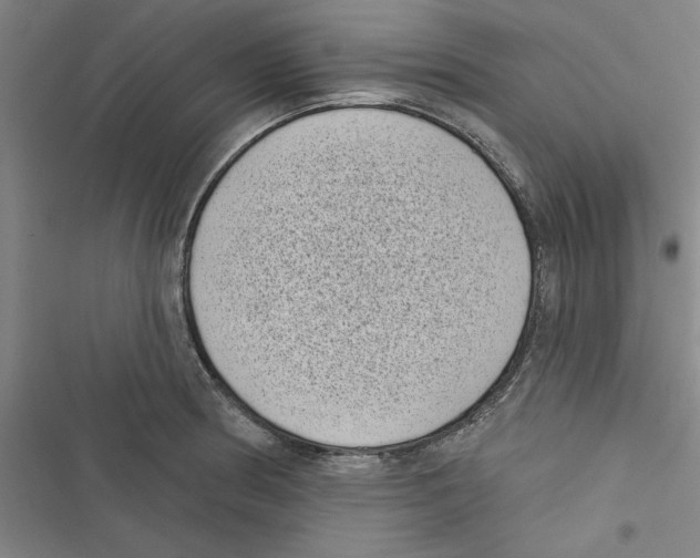 X0000116771186201001141444