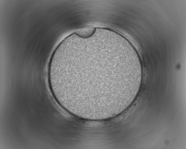X0000116771187201001141444