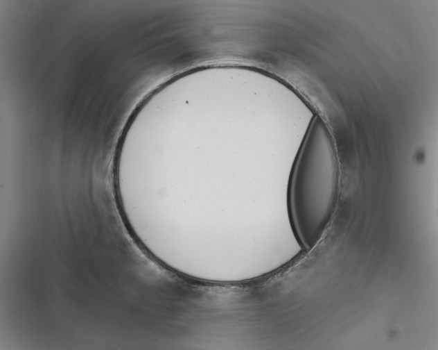X0000116771189201001141444