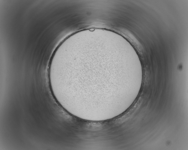 X0000116771190201001141444