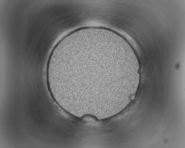 X0000116771191201001141444