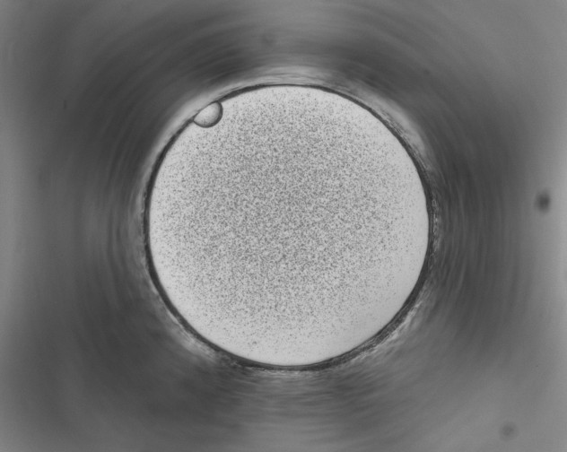 X0000116771192201001141444