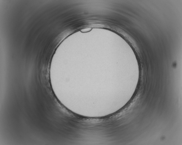 X0000116771193201001141444
