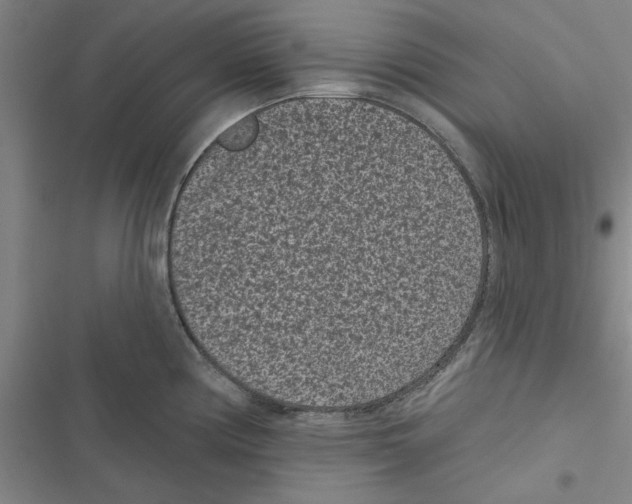 X0000116771194201001141444