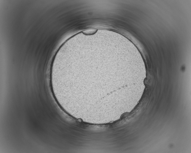X0000116771195201001141444