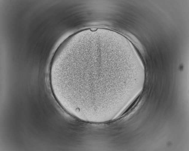 X0000116771196201001141444
