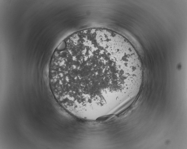 X0000116771198201001141444
