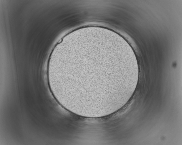 X0000116771199201001141444