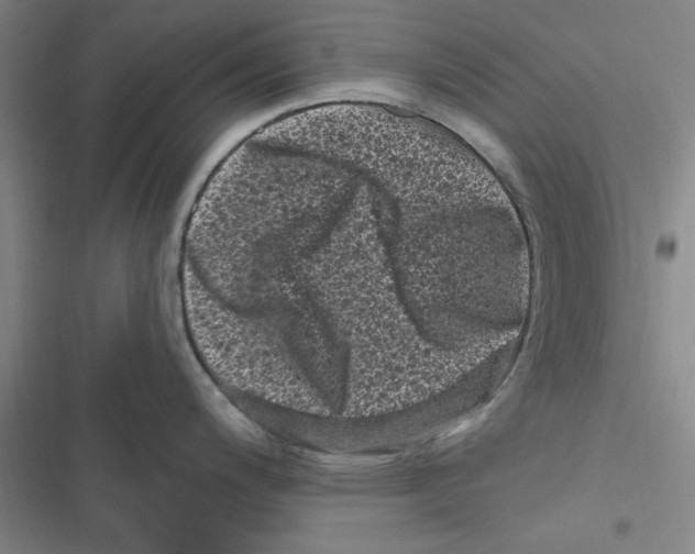 X0000116771200201001141444