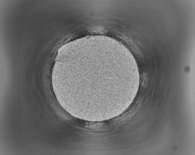 X0000116771201201001141443
