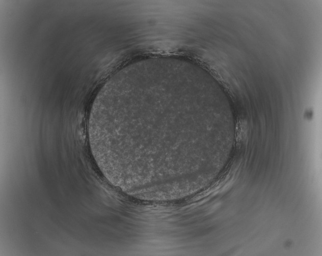 X0000116771202201001141443