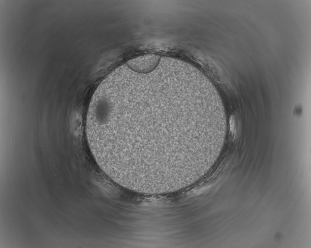 X0000116771203201001141443