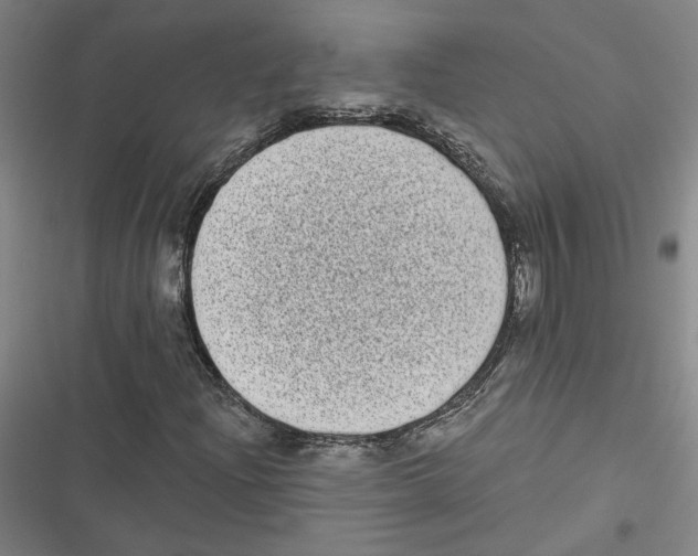 X0000116771204201001141443