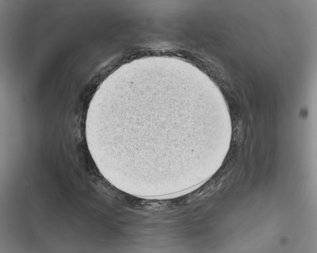 X0000116771205201001141443