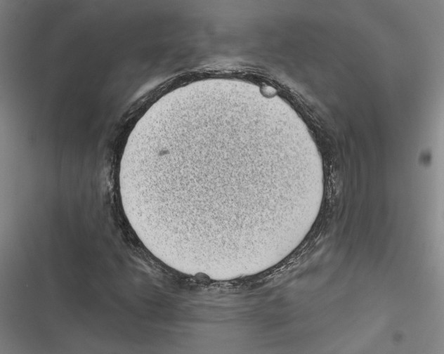 X0000116771206201001141443