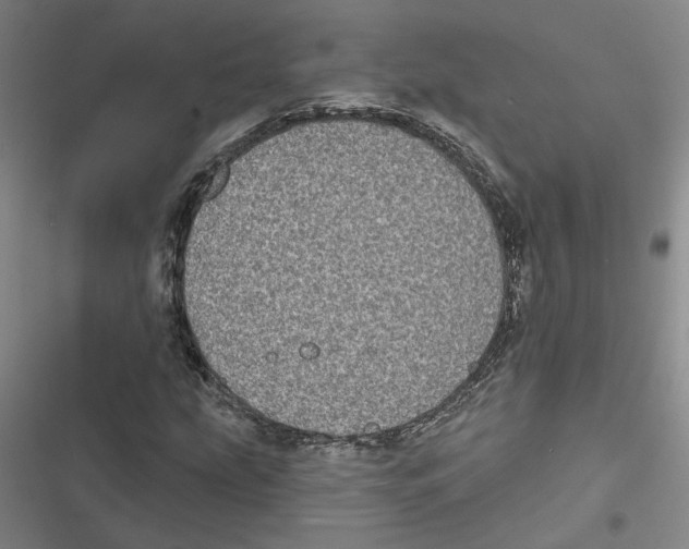X0000116771207201001141443