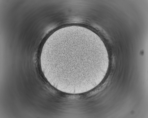 X0000116771210201001141443