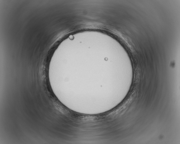 X0000116771211201001141443