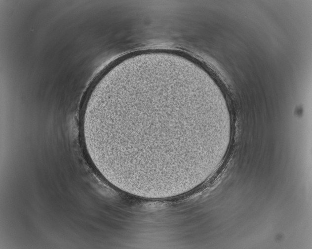 X0000116771212201001141443