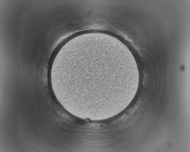 X0000116771214201001141443