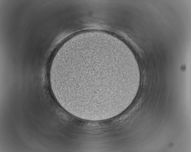 X0000116771215201001141443