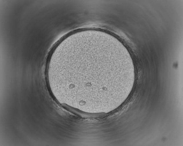 X0000116771216201001141443