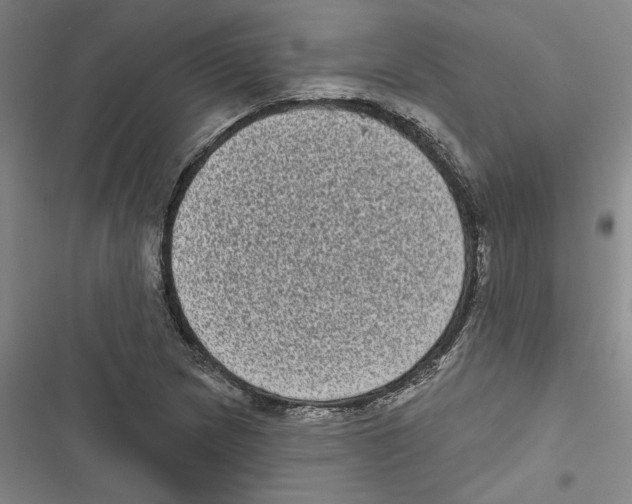 X0000116771217201001141443