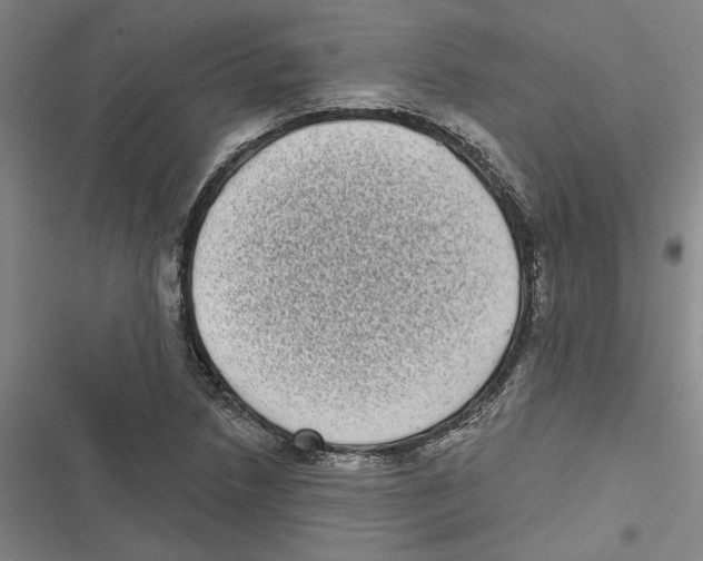 X0000116771218201001141444