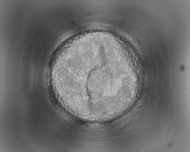 X0000116771219201001141444