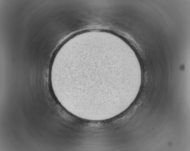 X0000116771220201001141444