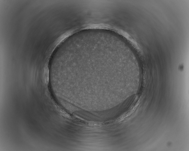 X0000116771221201001141444