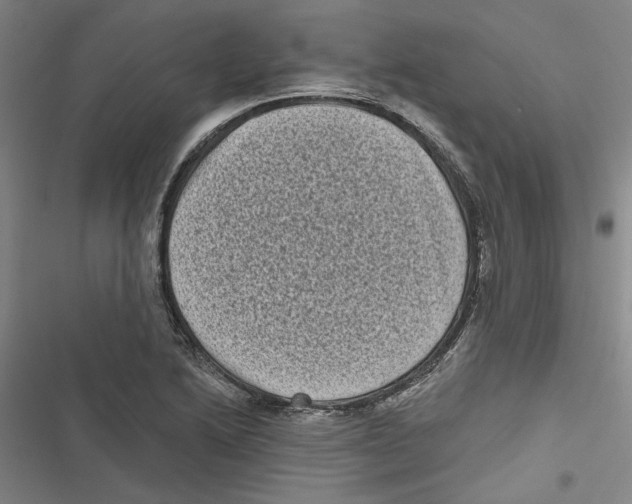 X0000116771222201001141444