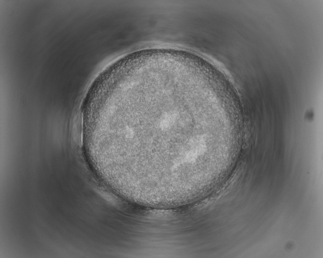 X0000116771223201001141444