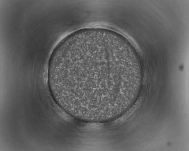 X0000116771224201001141444