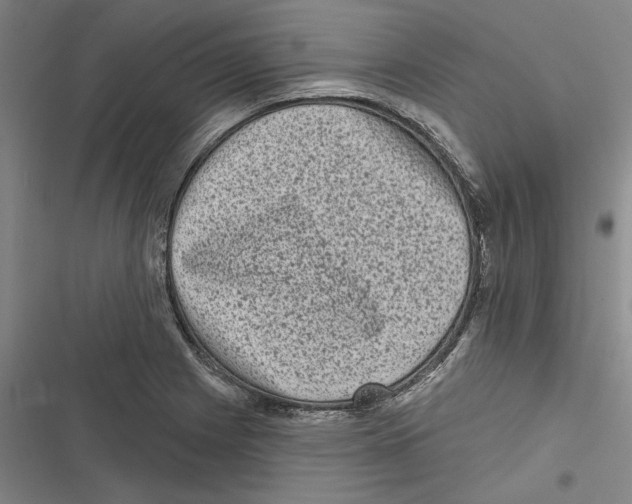 X0000116771225201001141444