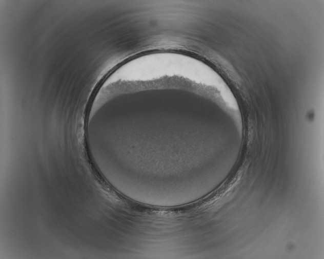 X0000116771226201001141444