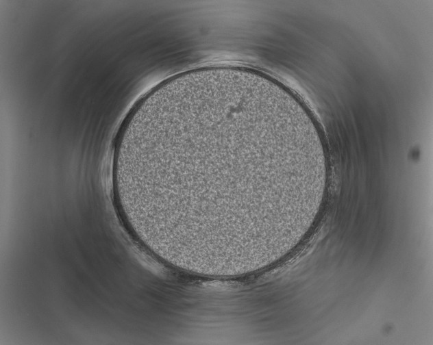 X0000116771227201001141444