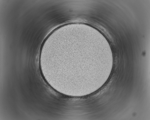 X0000116771228201001141444