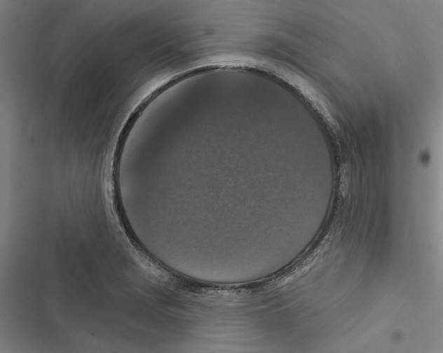 X0000116771229201001141444