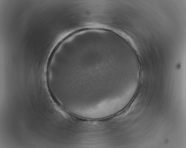 X0000116771231201001141444