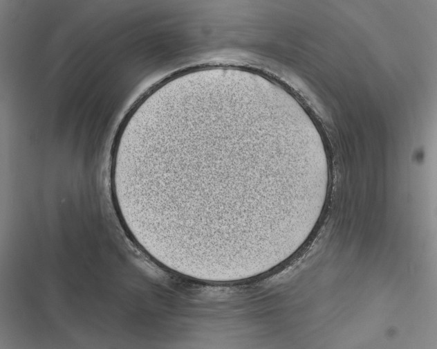 X0000116771232201001141444