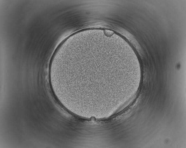 X0000116771234201001141444