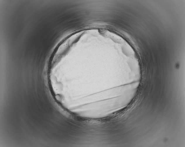 X0000116771235201001141444