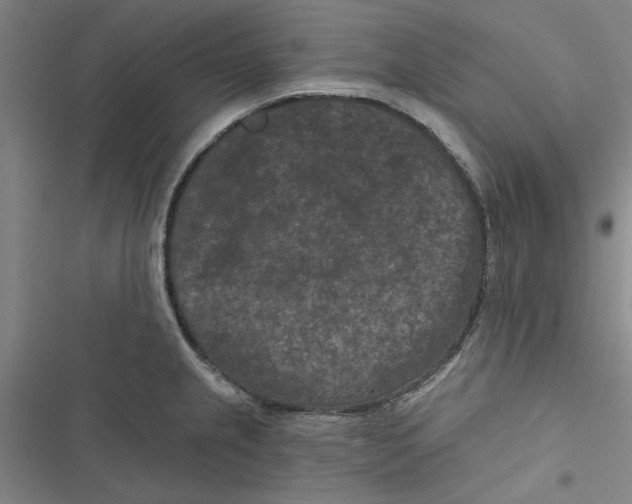 X0000116771237201001141444