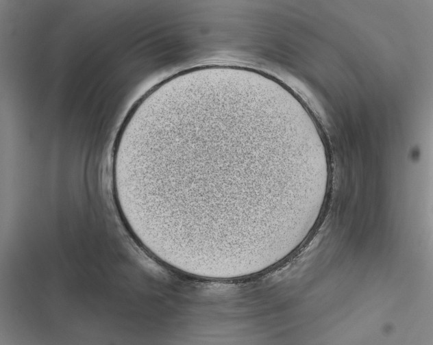 X0000116771238201001141444