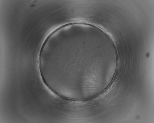 X0000116771239201001141444