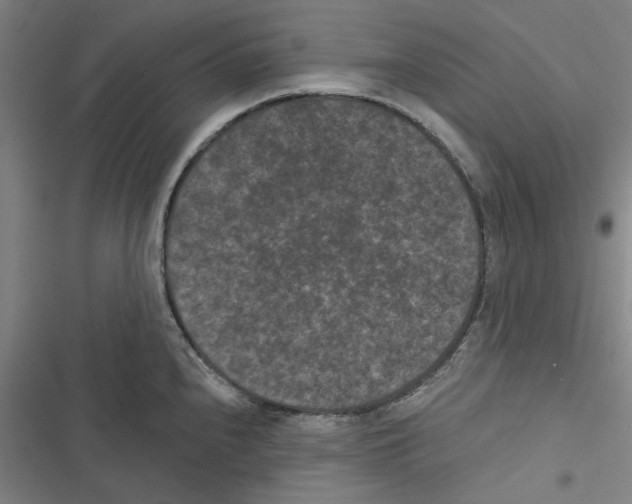 X0000116771240201001141444